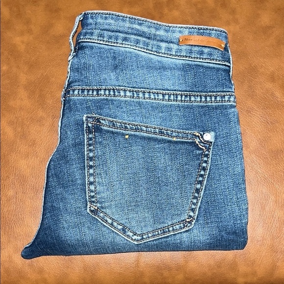 Pilcro and the Letterpress Anthropologie Script Skinny 25 - Picture 3 of 16